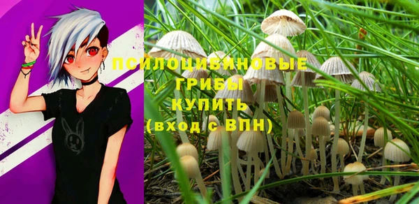 стаф Майский