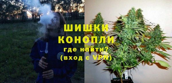 стаф Майский