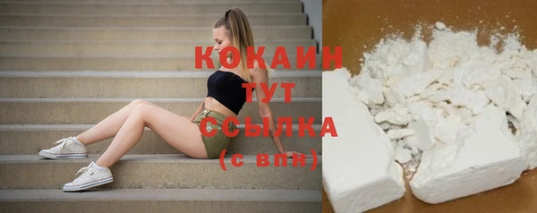 стаф Майский