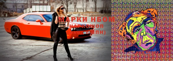 крисы Магадан