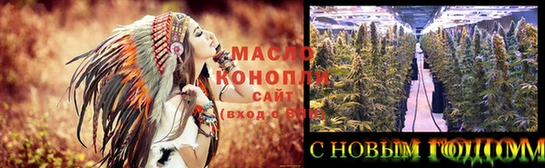 крисы Магадан
