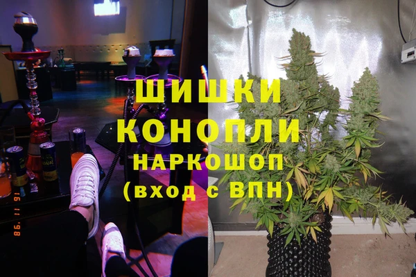 прущая мука Магас