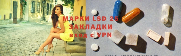 крисы Магадан