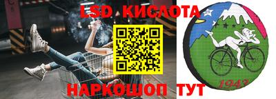 эйфоретик Кимры