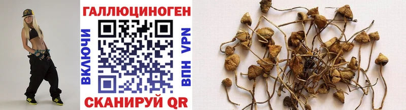 Псилоцибиновые грибы Magic Shrooms  Углич 