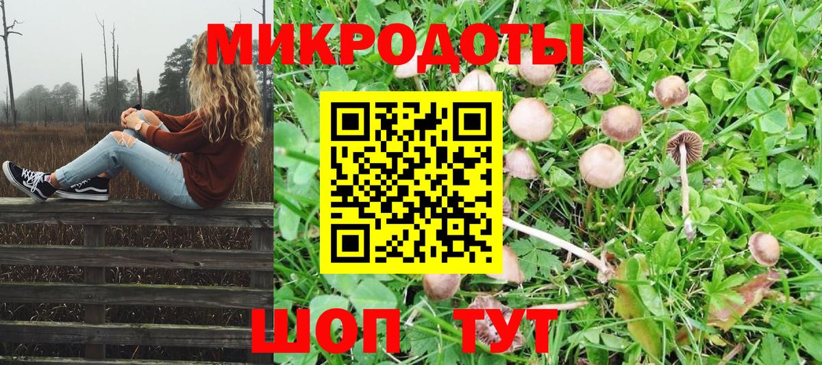 Галлюциногенные грибы MAGIC MUSHROOMS Углич